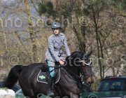 Capponi Royal Star TosTour 2013- S5 3440 : Arezzo Equestrian Centre, Capponi Francesca, Royal Star, Toscana Tour 2013, foto di Stefano Secchi ©